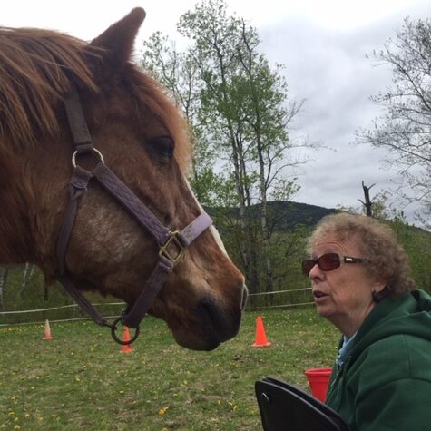 Stable Connections Equine Assisted Psychotherapy
