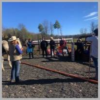 Corporate Team Building Programs at Stable Connections