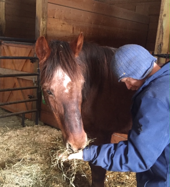Stable Connections Equine Therapies